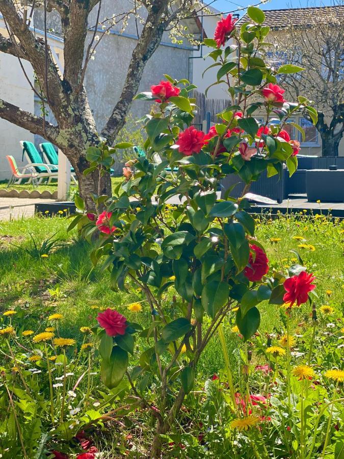 فيلا L'Escapade Perigourdine, Wifi, Parking, Netflix, Piscine Coulounieix-Chamiers المظهر الخارجي الصورة